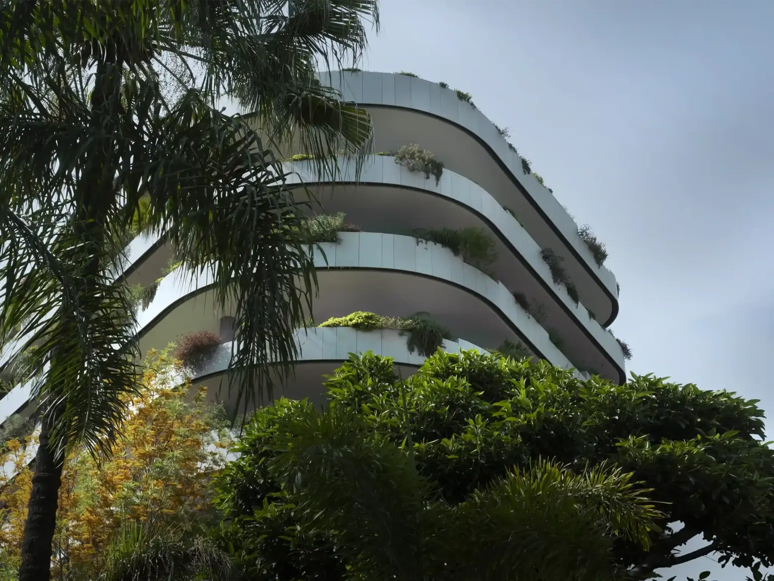 La Petite Afrique-Principale