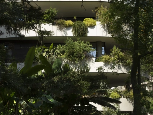 P.A. CARROUSEL PHOTO 10