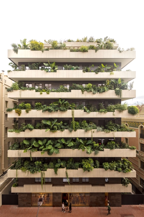 P.A. CARROUSEL PHOTO 18