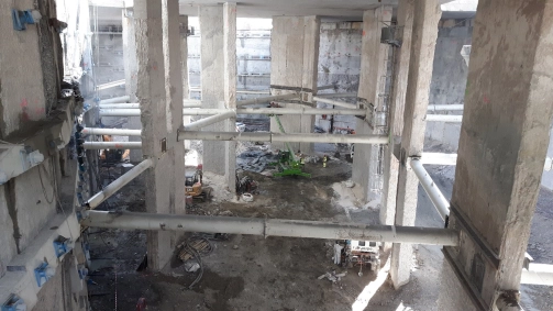 EXOTIQUE Fouille Carroussel 2